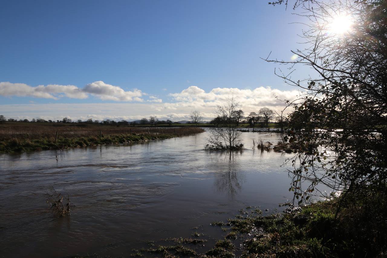 Flooded Gowy