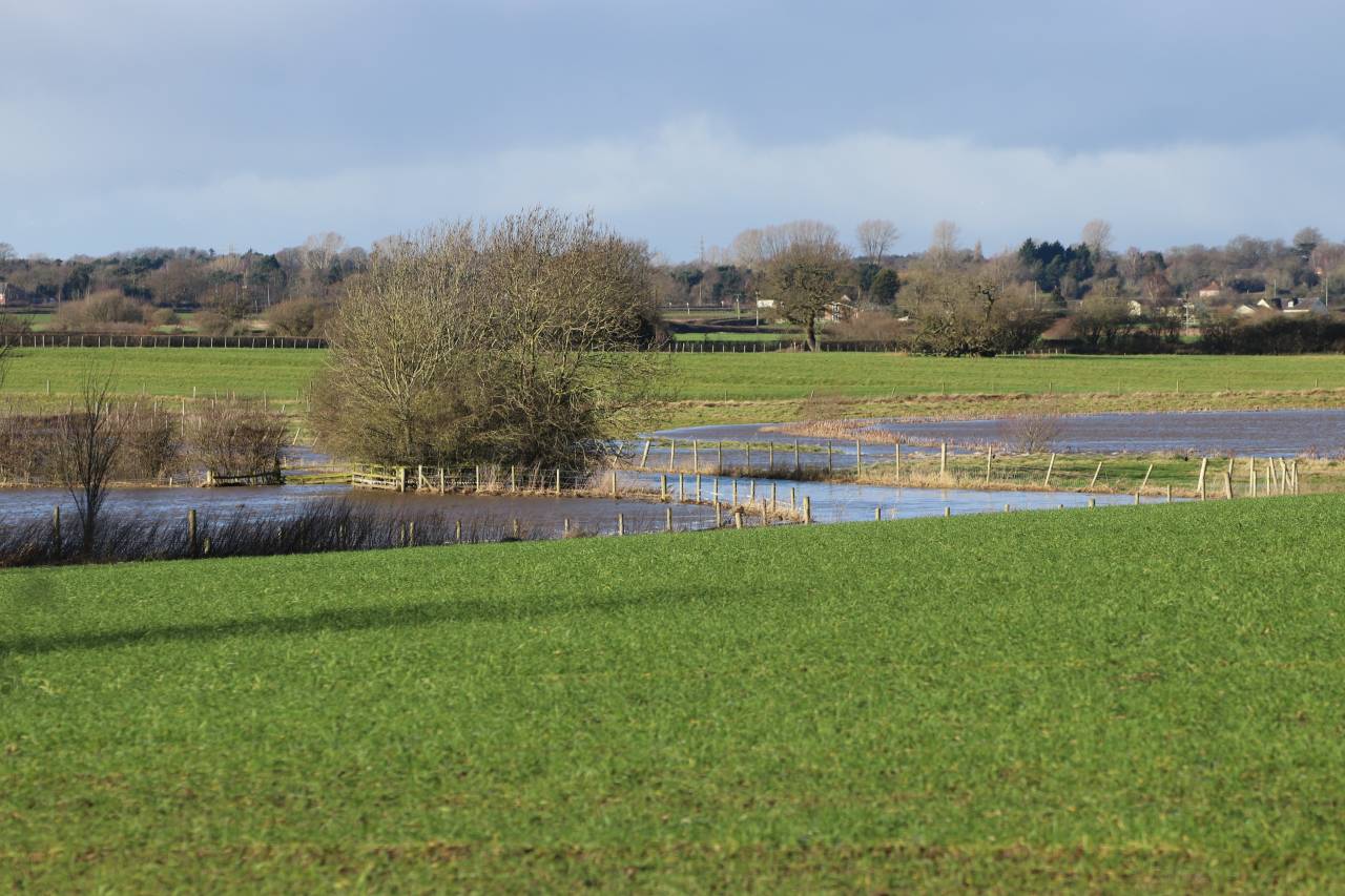 Flooding Gowy & Lake at Hockenhull
