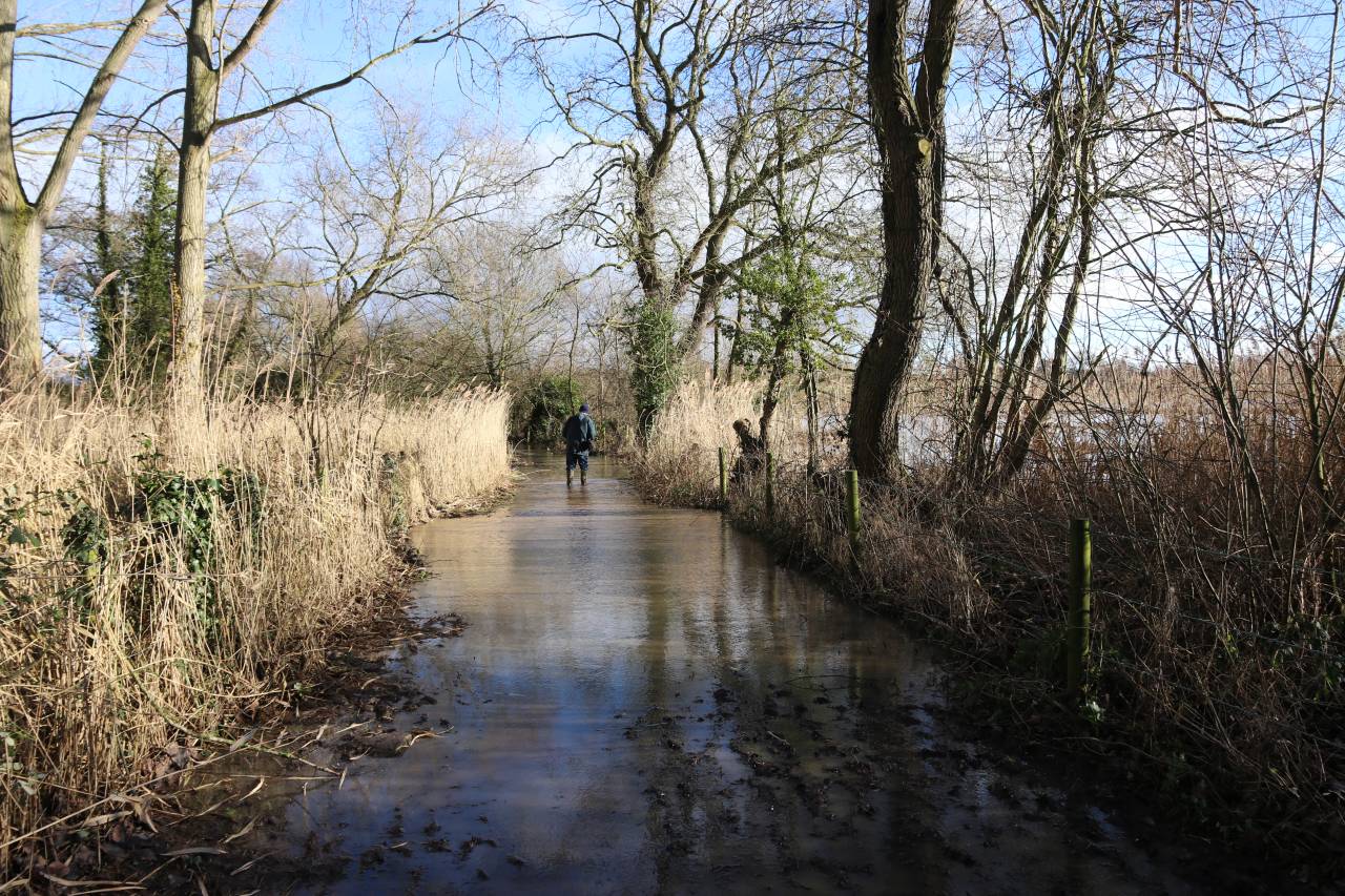 Flooded Lane at Hockenhull Platts