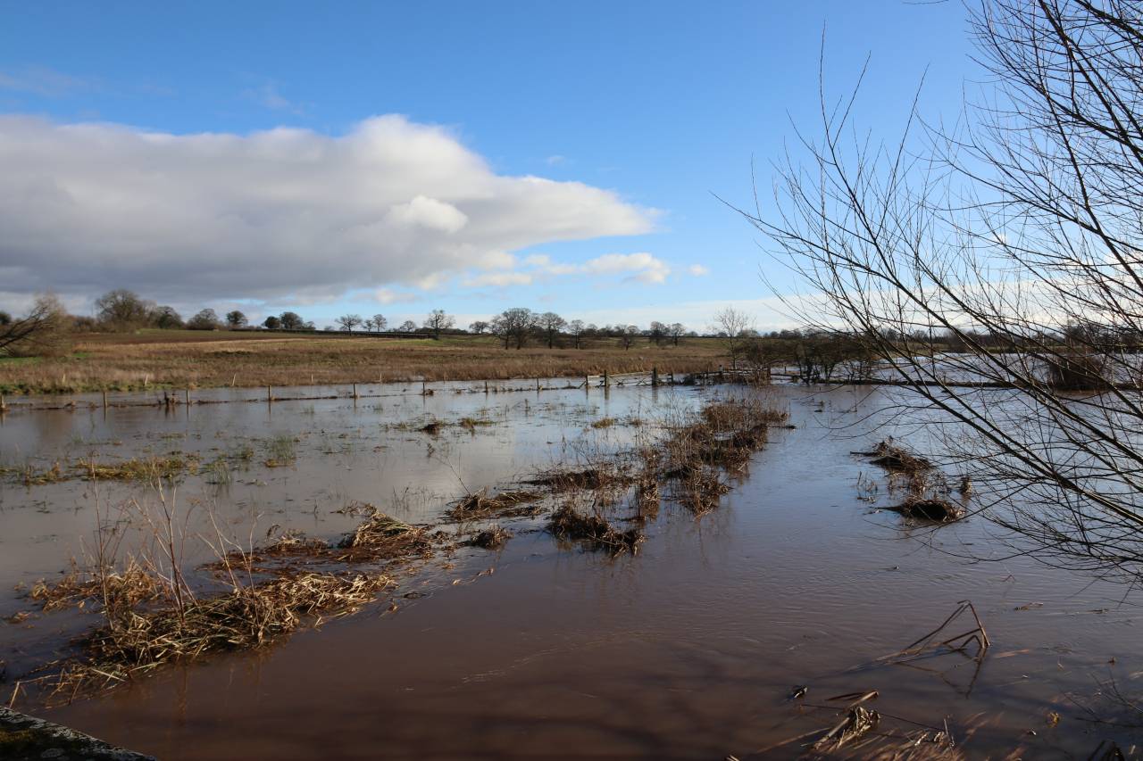 Flooded meadow and river Gowy