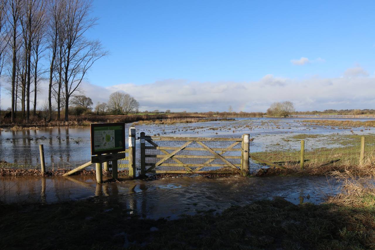 Flooded Reserve at Hockenhull.JPG