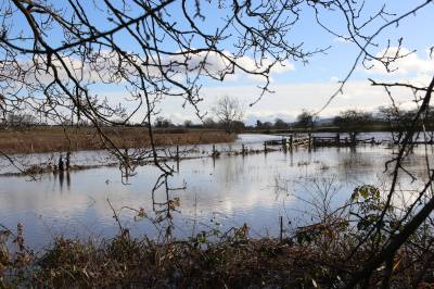  Flooded Gowy 