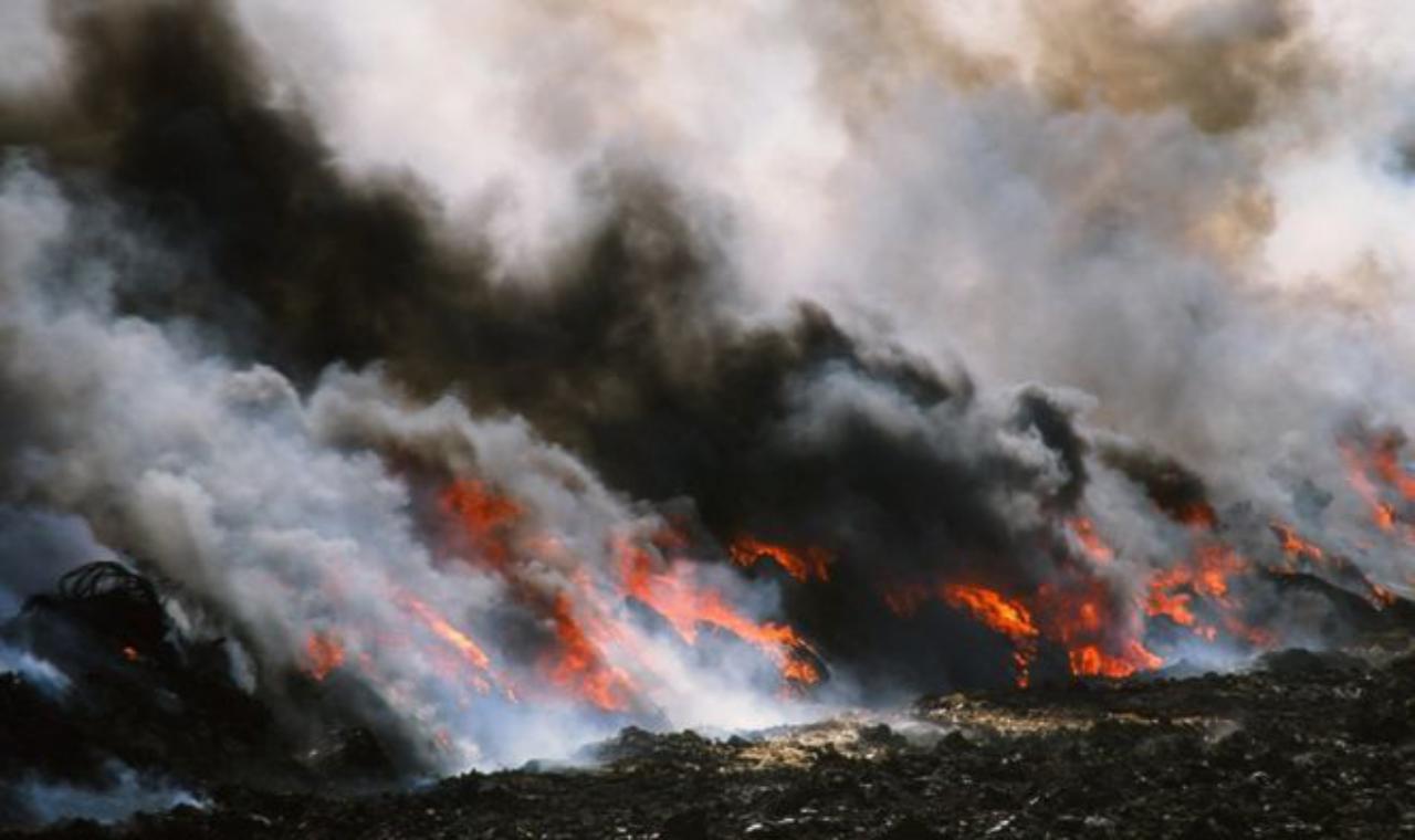 Foot-and-Mouth disease