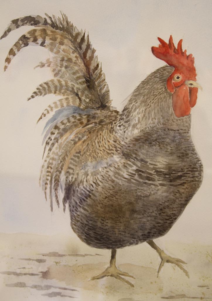 Painting Section Christleton Village Show