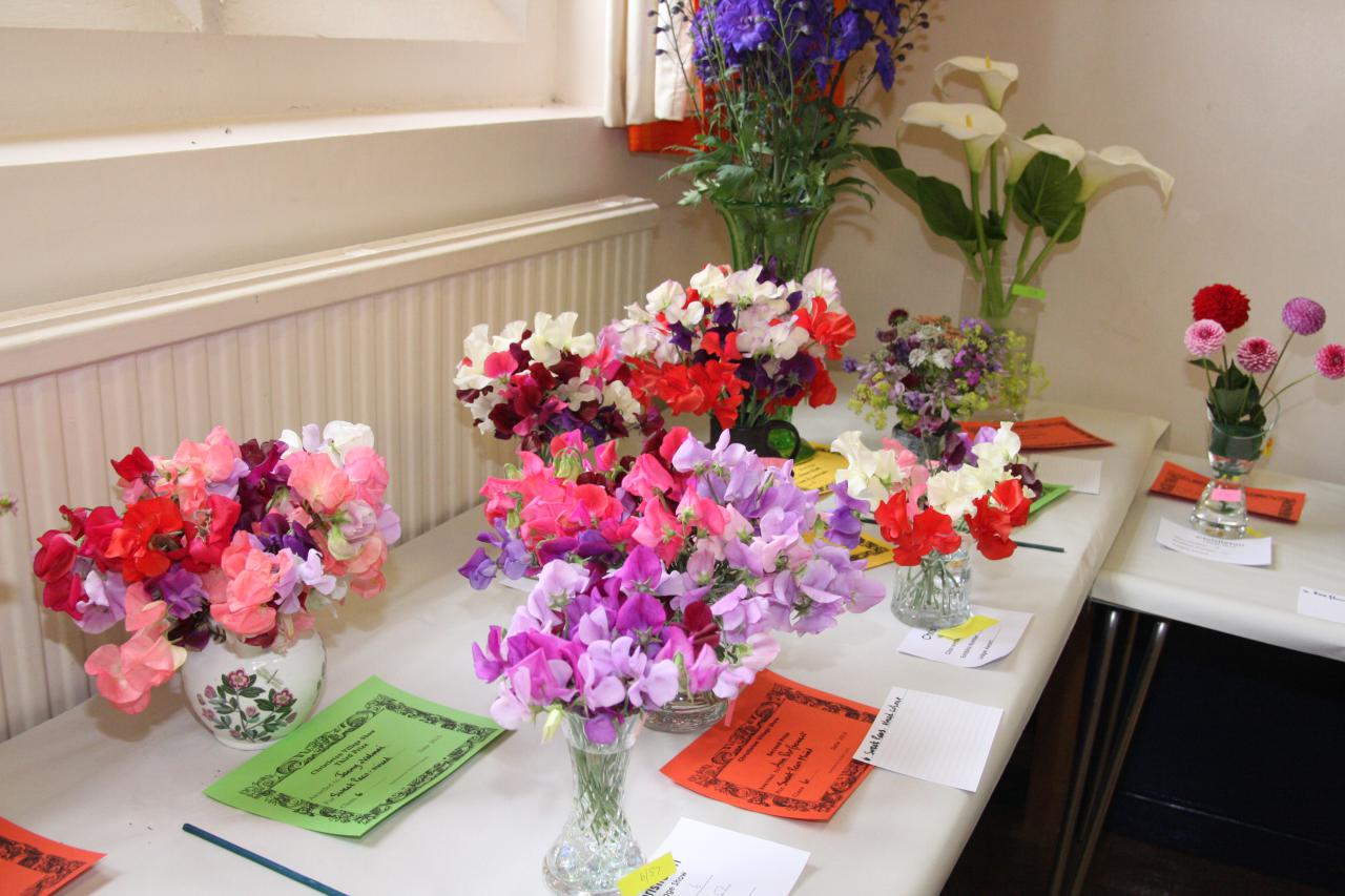 Sweet Peas Christleton Village Show