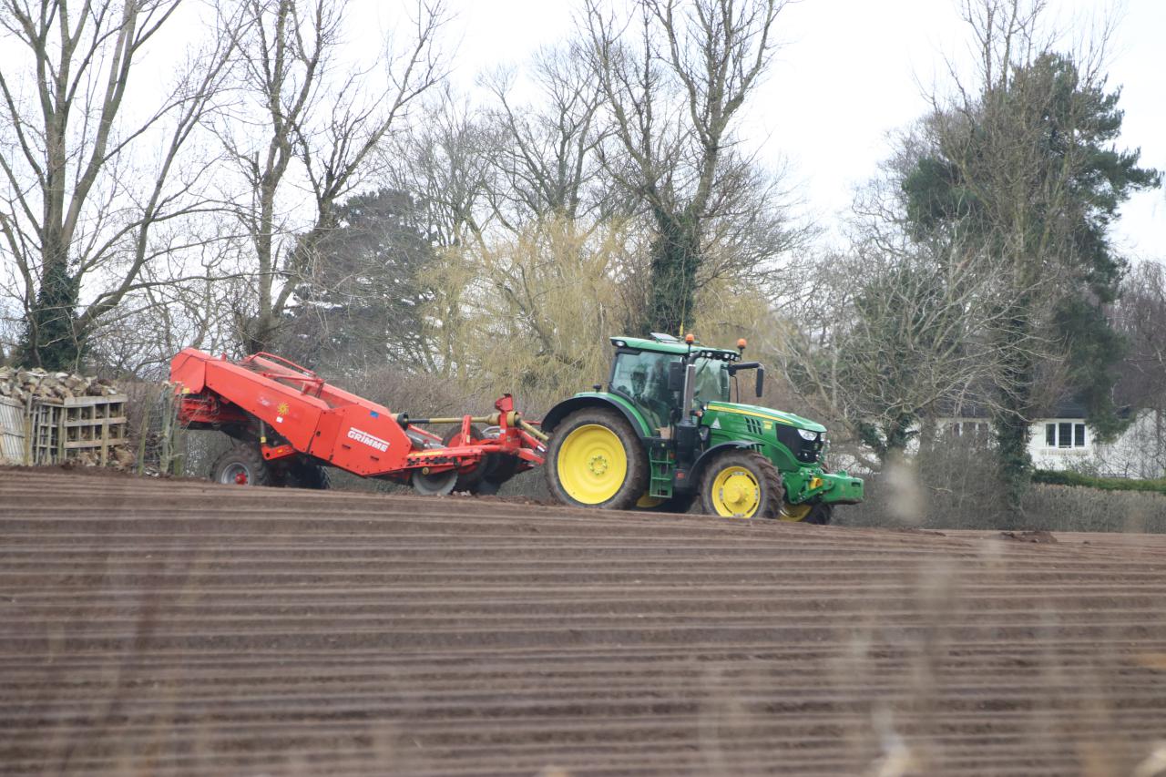 Planting Potatoes at Brown Heath