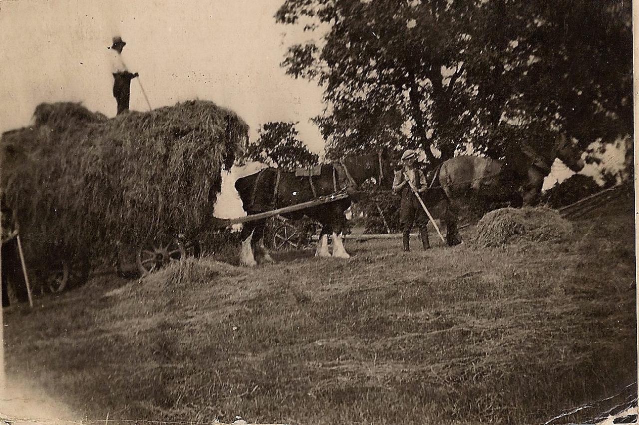 Haymaking in Christleton