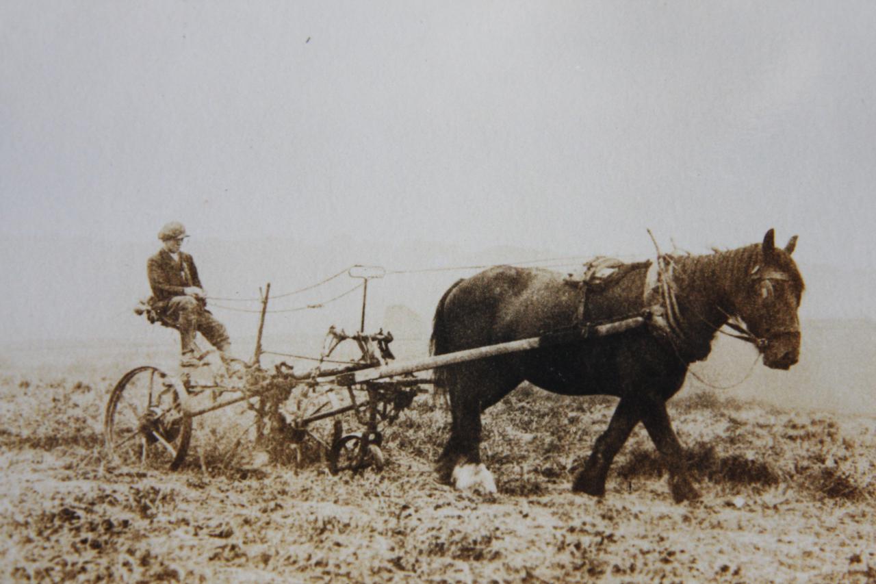 Ploughing in Christeton
