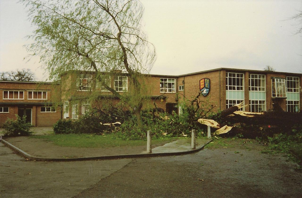 Tree blows dow at Christleton High School