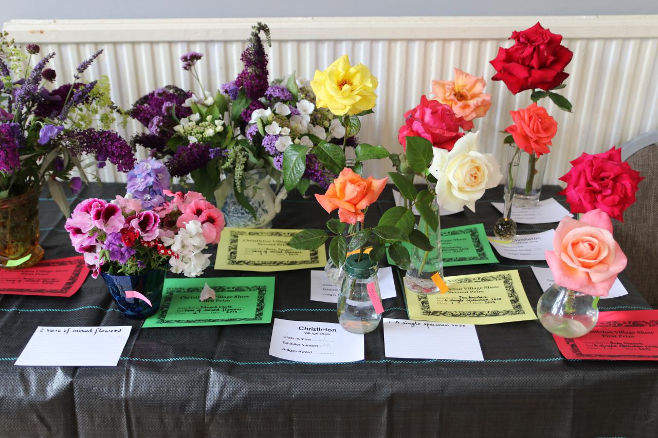 Flower Section Christleton Village Show