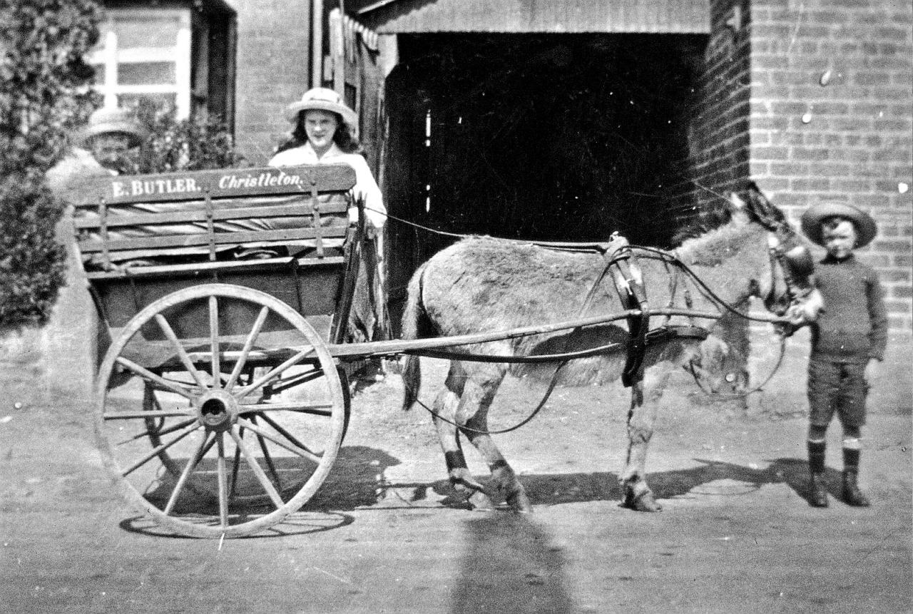 Butler's Mill Brad Cart Christleton