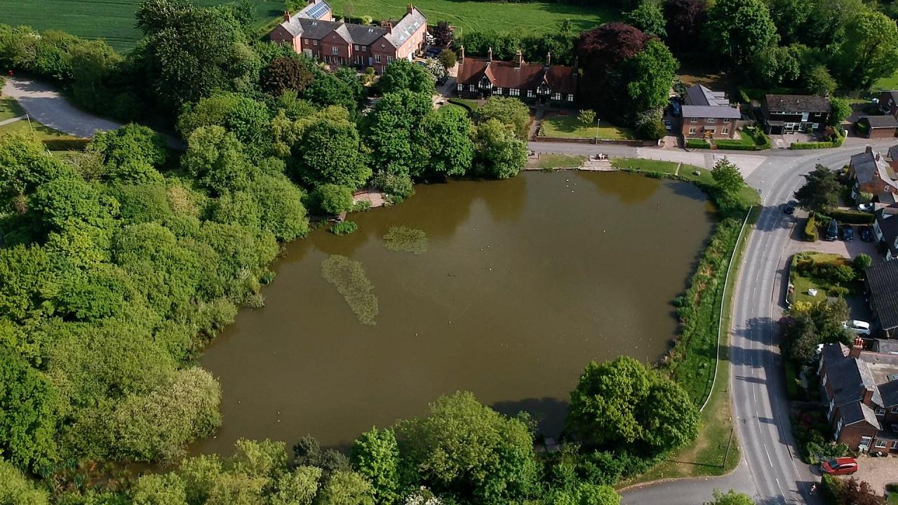  Christleton Pit - Phil Hirst 