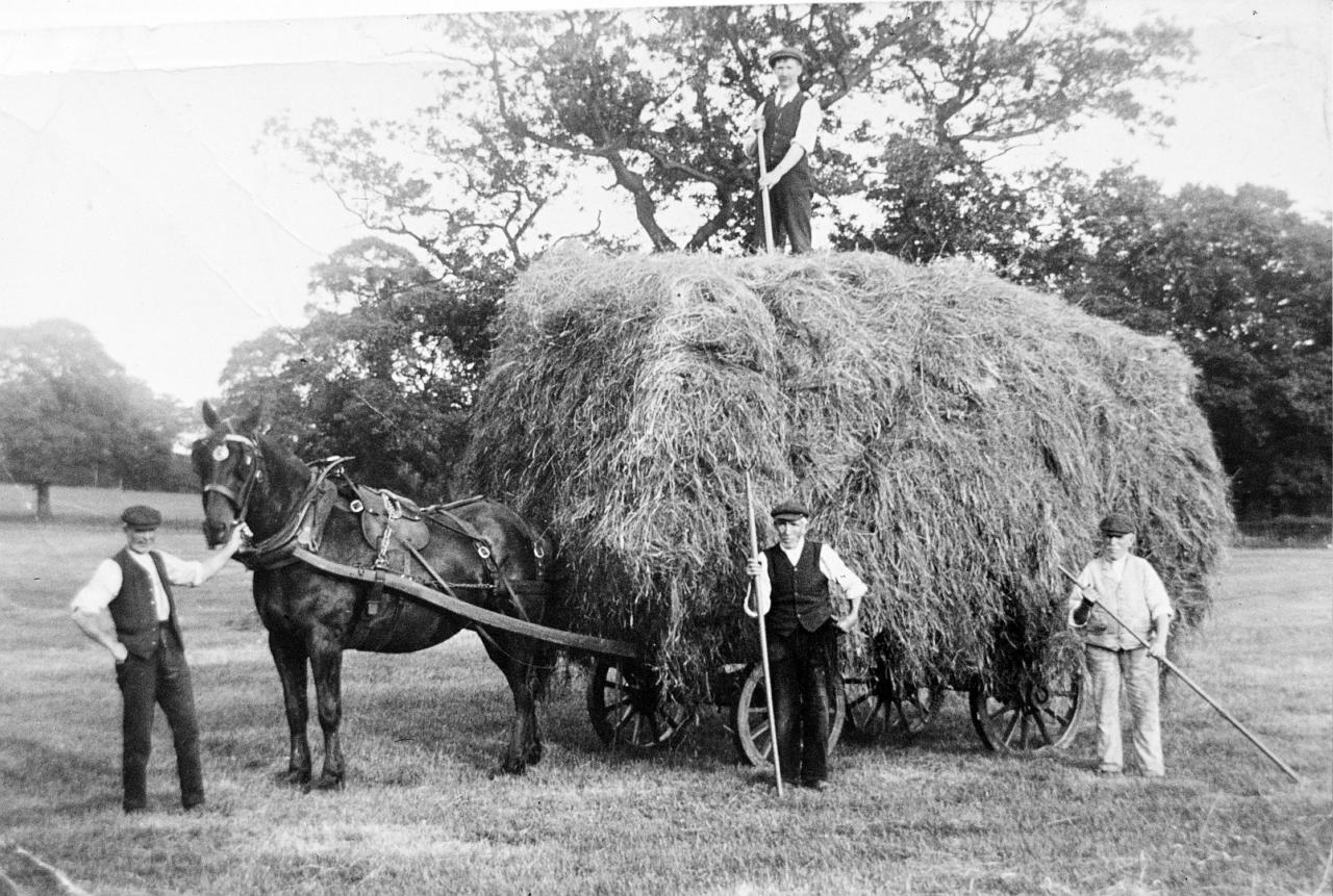 Haymaking at Christleton