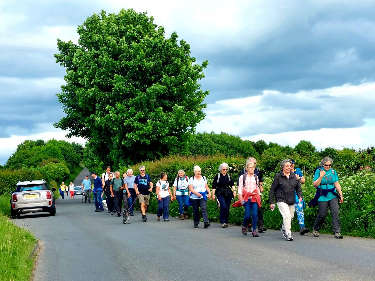 Walking along Pearl Lane