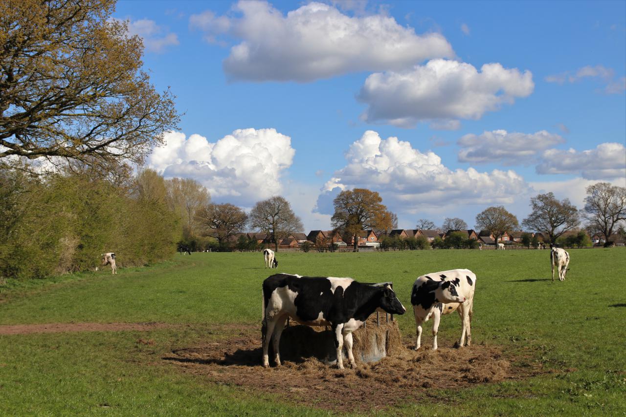 Brown Heath Farm 2021