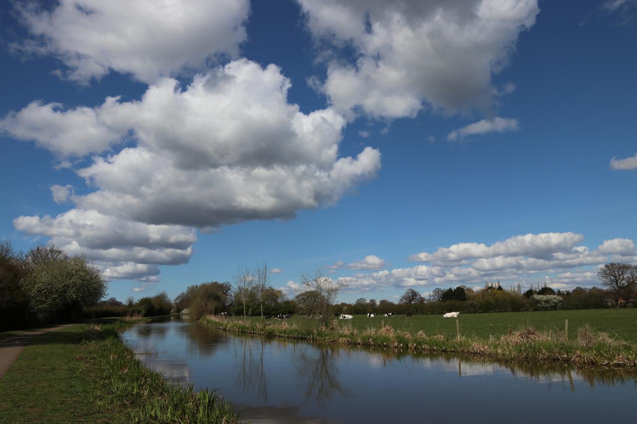 View of Brown Heath Farm from the Canal, Christleton