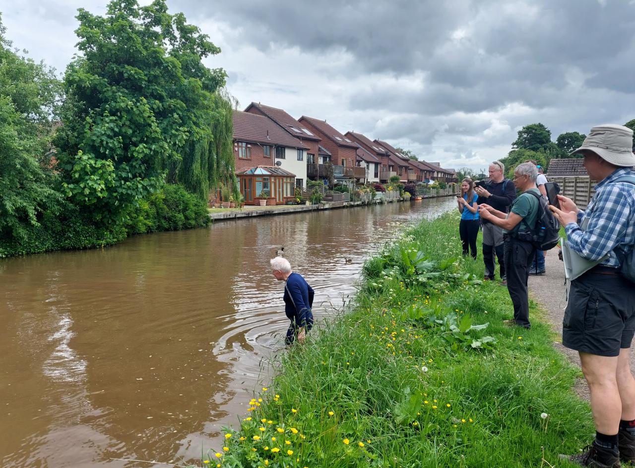 Roger swimming the canal at Rowton