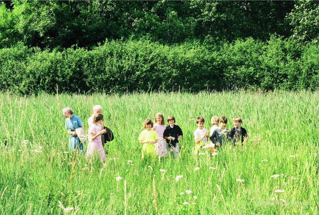 Hockenhull wet Meadow