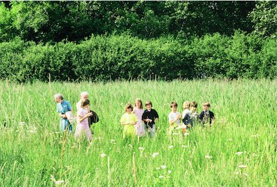  Hockenhull wet Meadow 