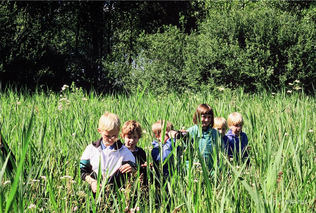 Exploring Hockenhull wet Meadow