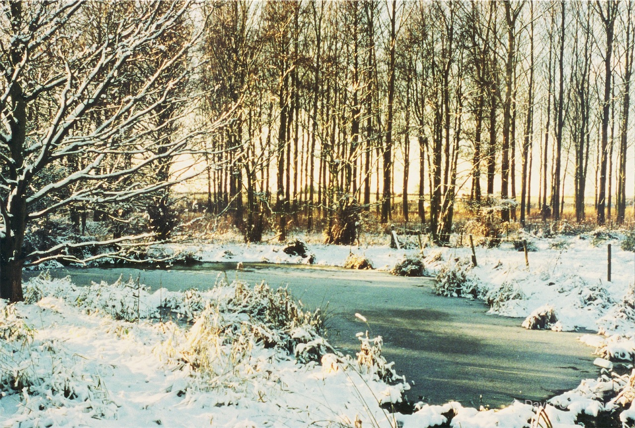 Hockenhull Pond in winter