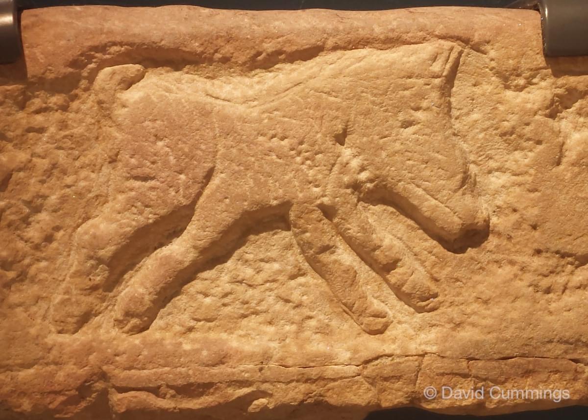 Boar symbol at Corbridge