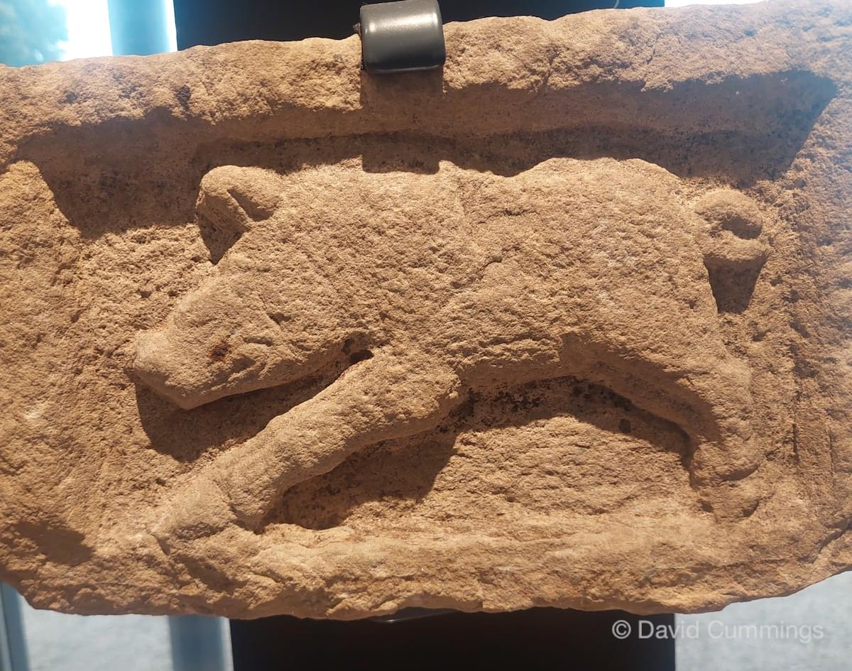 Boar symbol at Corbridge