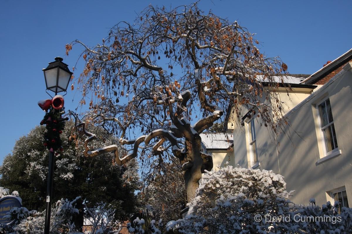 Birch Heath Lodge, Christleton  Birch Heath Lodge, Christleton