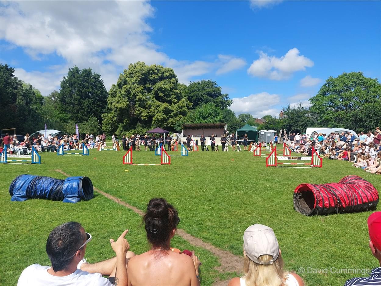 Paws for Thought Display  Paws for Thought Display