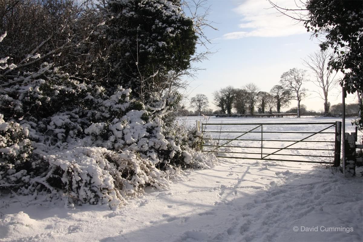  Playing fields, Christleton 