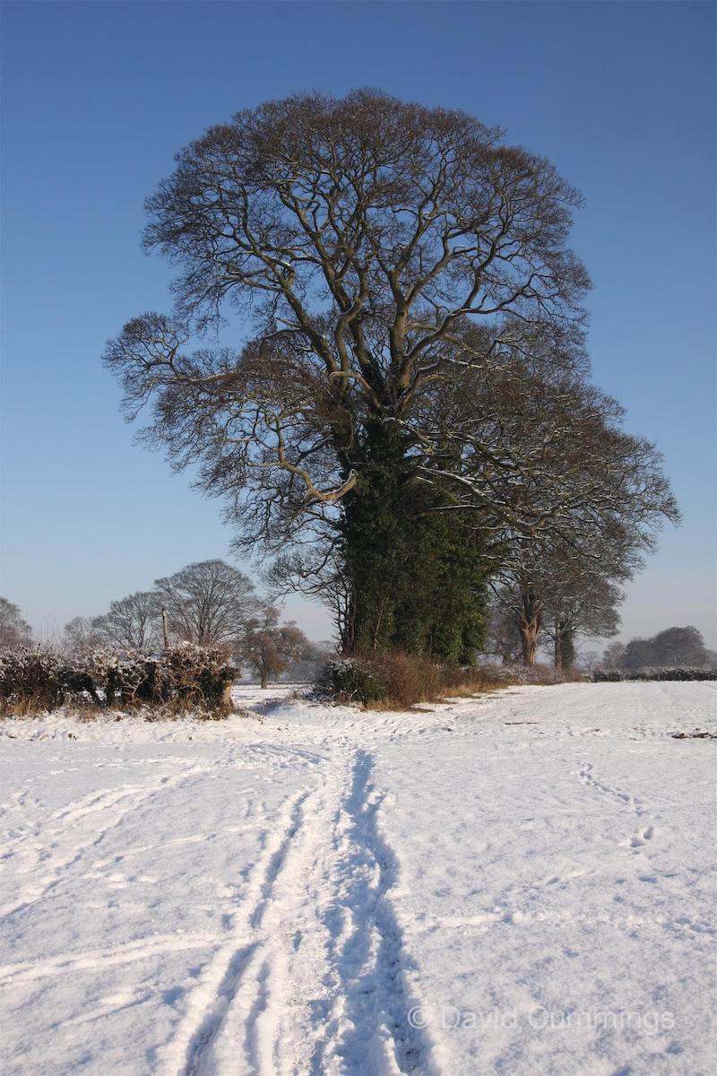  Footpath to Littleton in the snow 