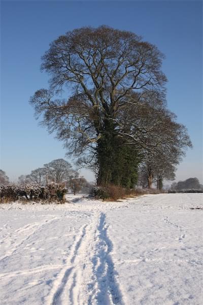  Footpath to Littleton in the snow 