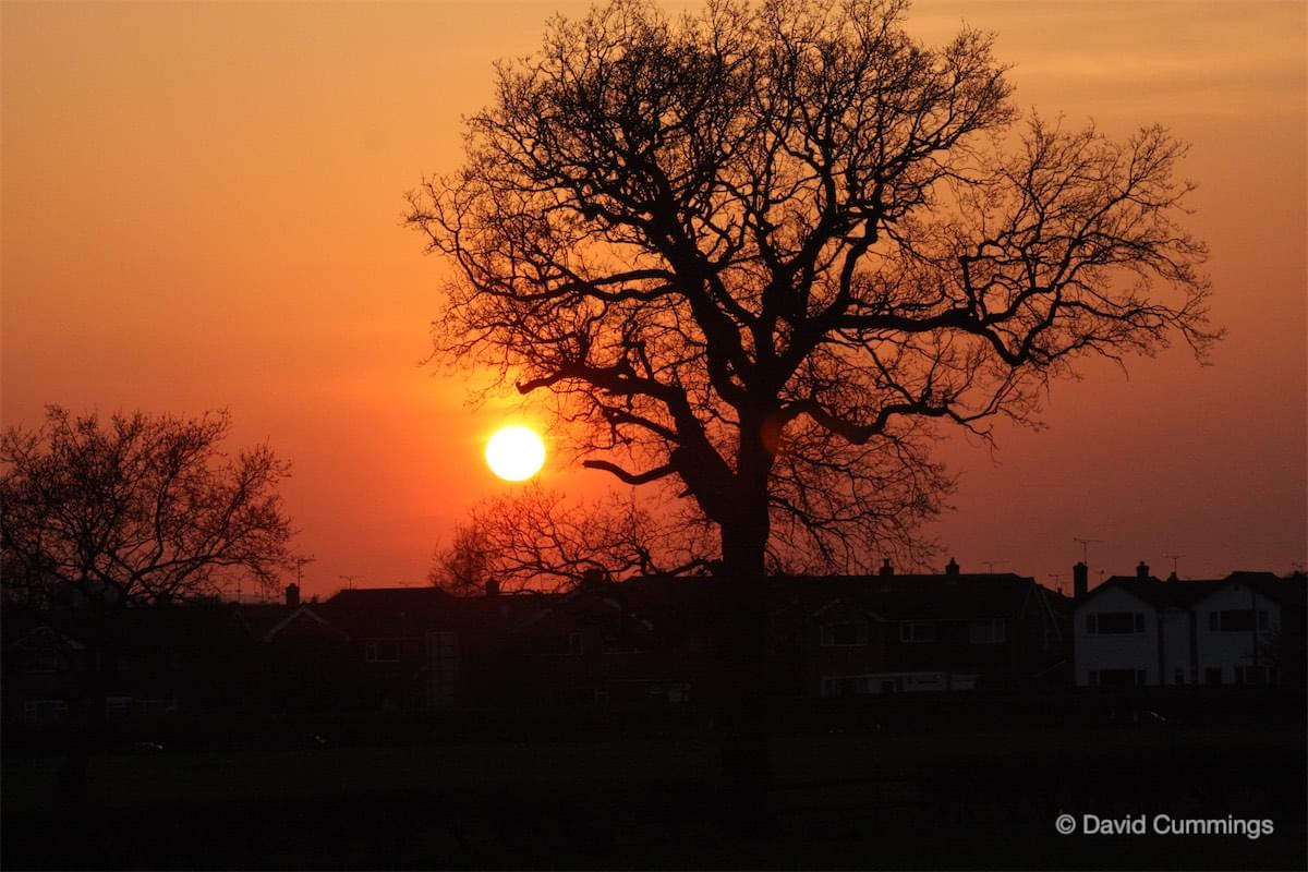  Winter scene in Christleton 