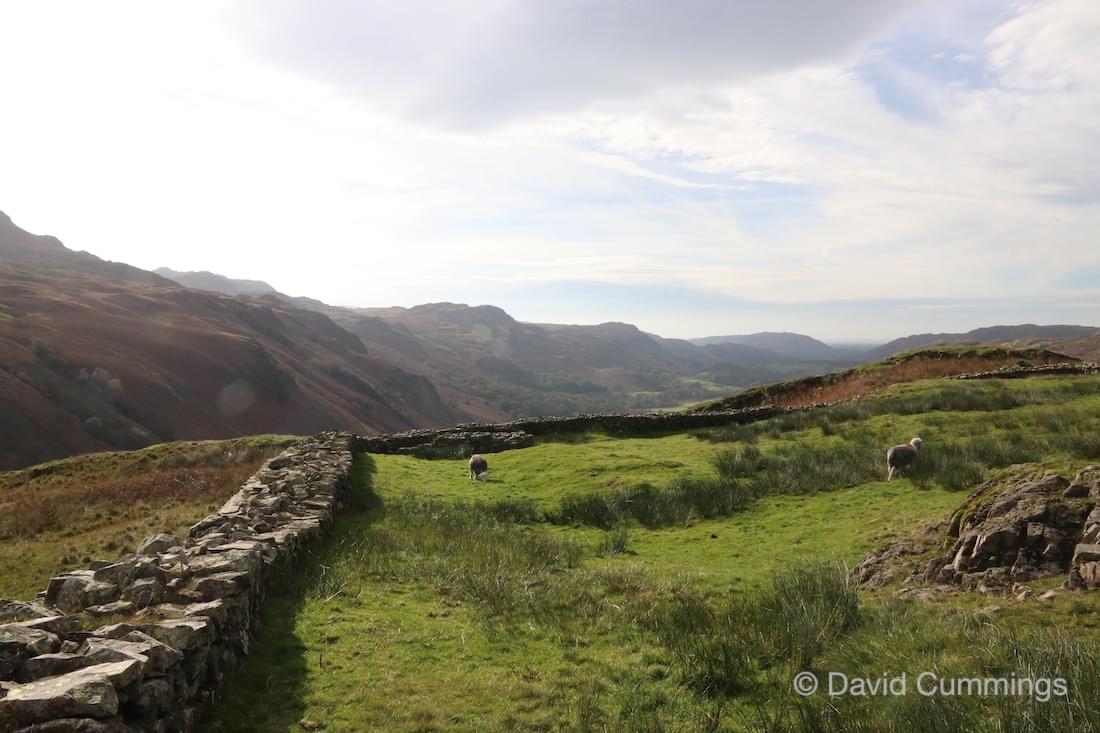 The Fortress wall looking west.