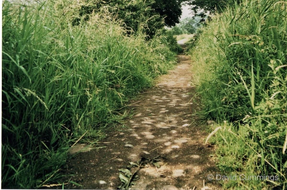 Birch Heath Lodge, Christleton  Birch Heath Lodge, Christleton