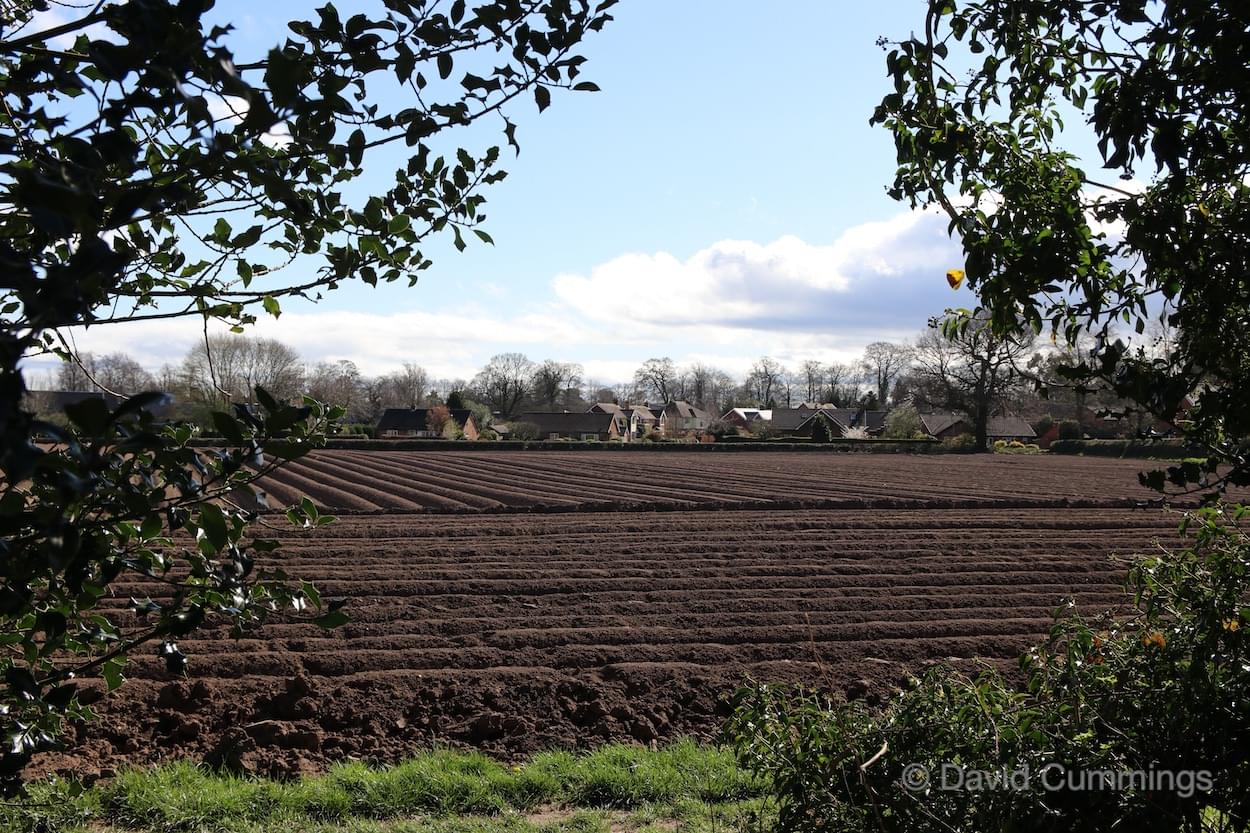 Field ploughed ready for the next crop