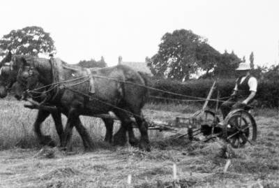  Farming with horses in Christleton 