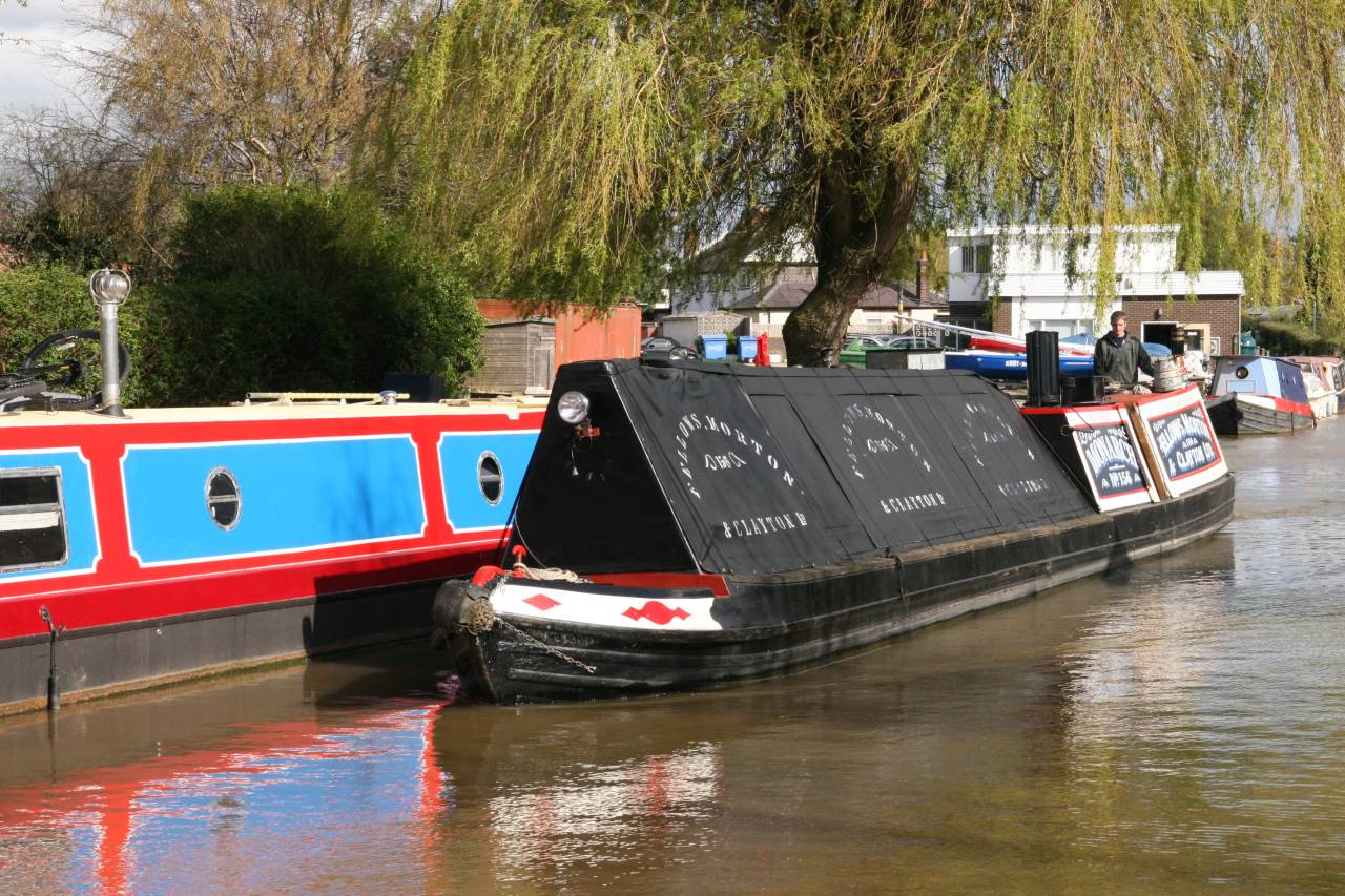 Monarch on the Canal at Christleton
