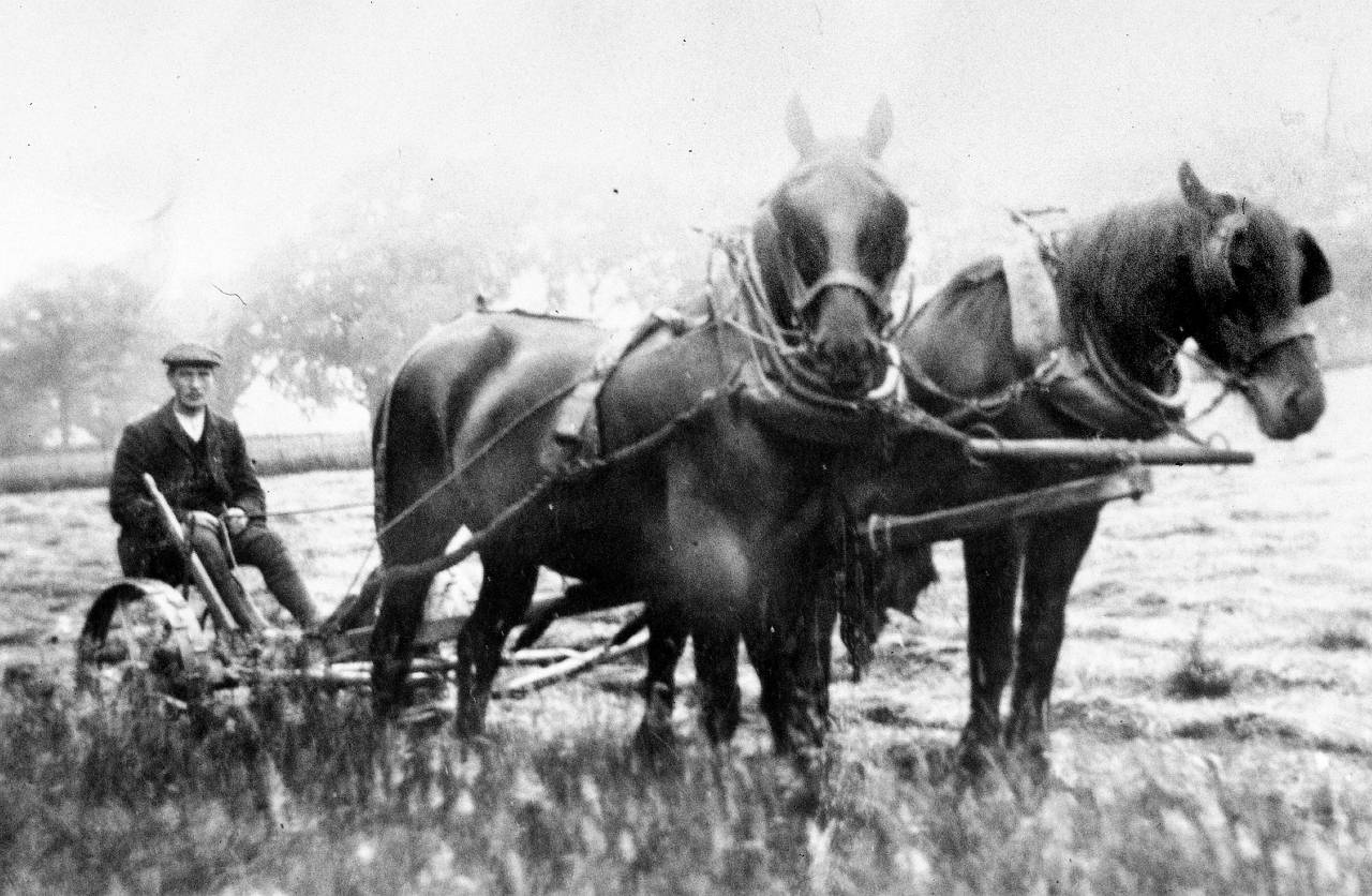  Farming with two horses in Christleton 