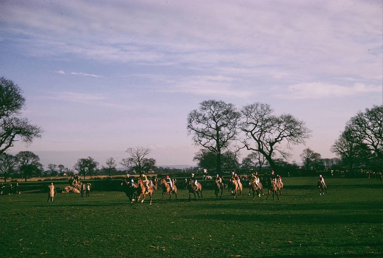  Point to Point in Christleton 