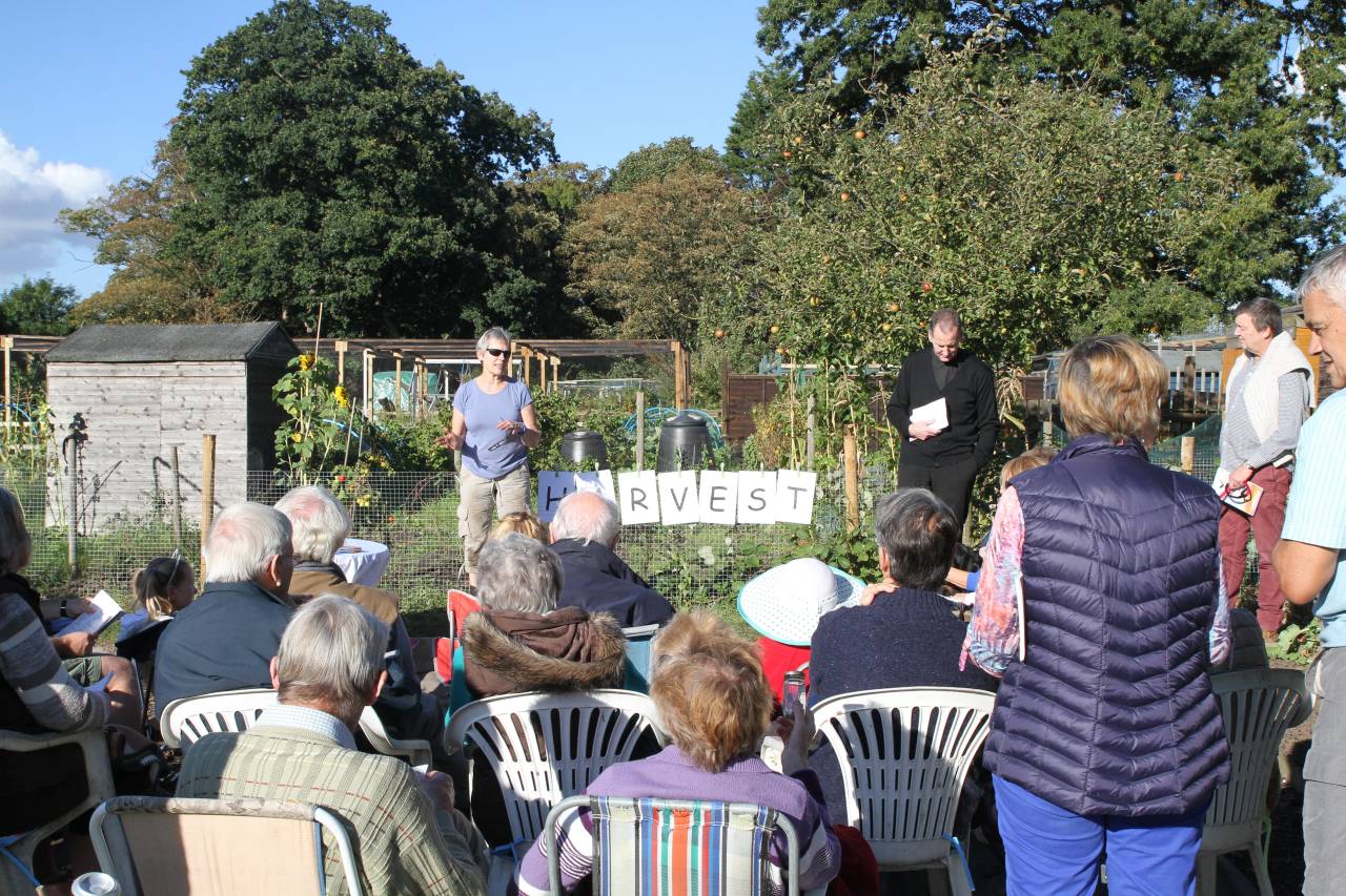  Harvest on the Alloment 