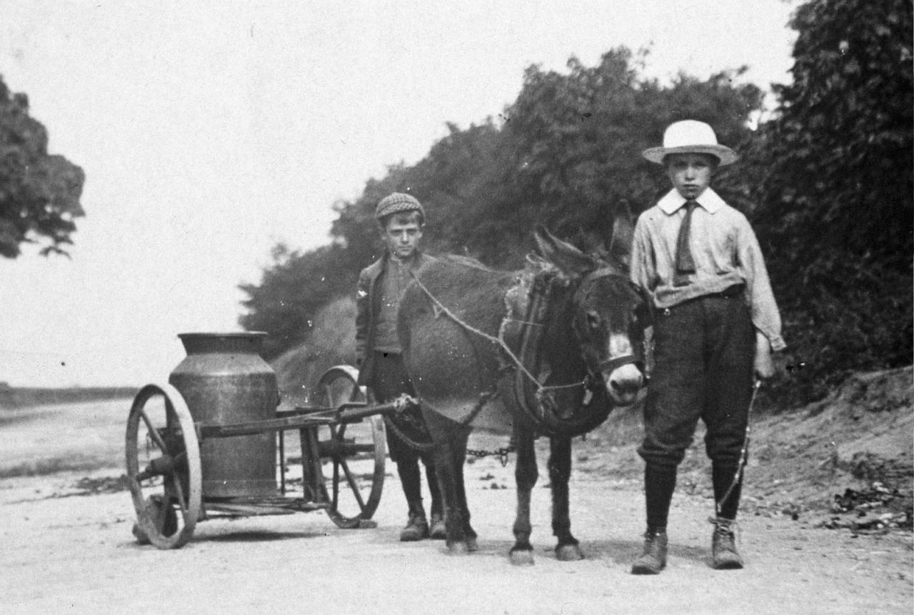  Milk Cart in Christleton 