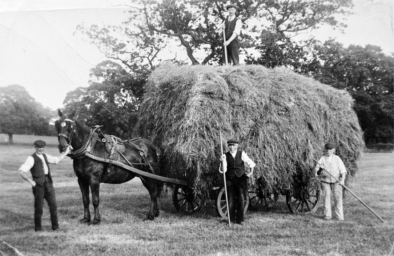  Haymaking at Christleton Hall 