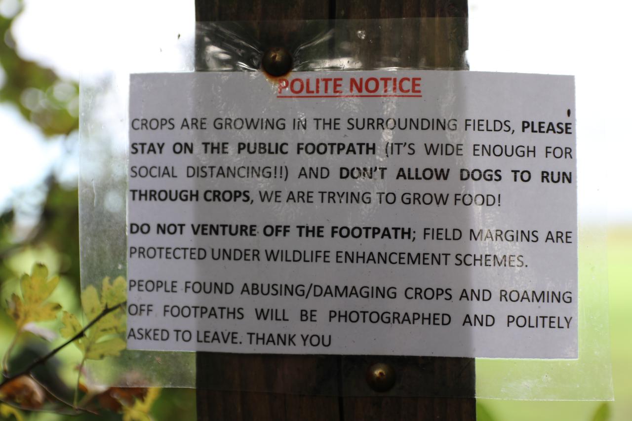 Stay on the footpath