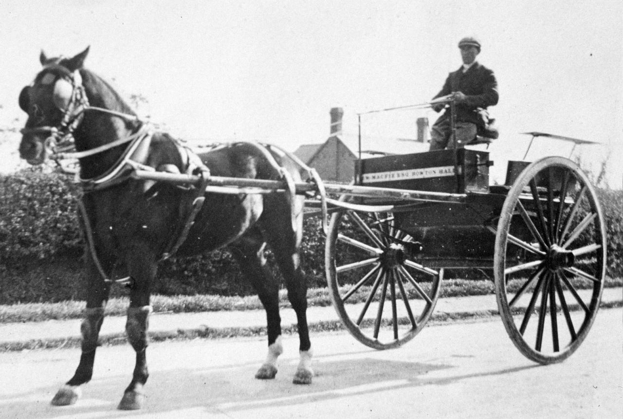 Rowton Hall pony and trap