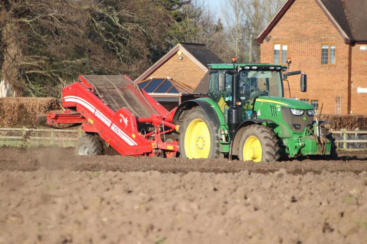  Potato planting, Christleton 