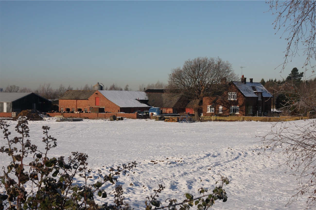 White Lane Farm  White Lane Farm