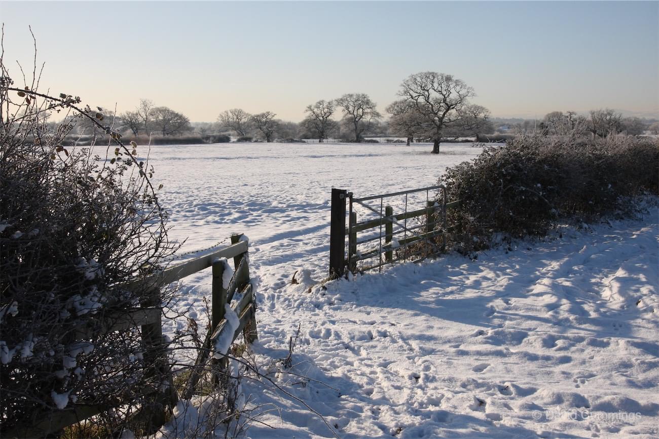 White Lane Farm  White Lane Farm