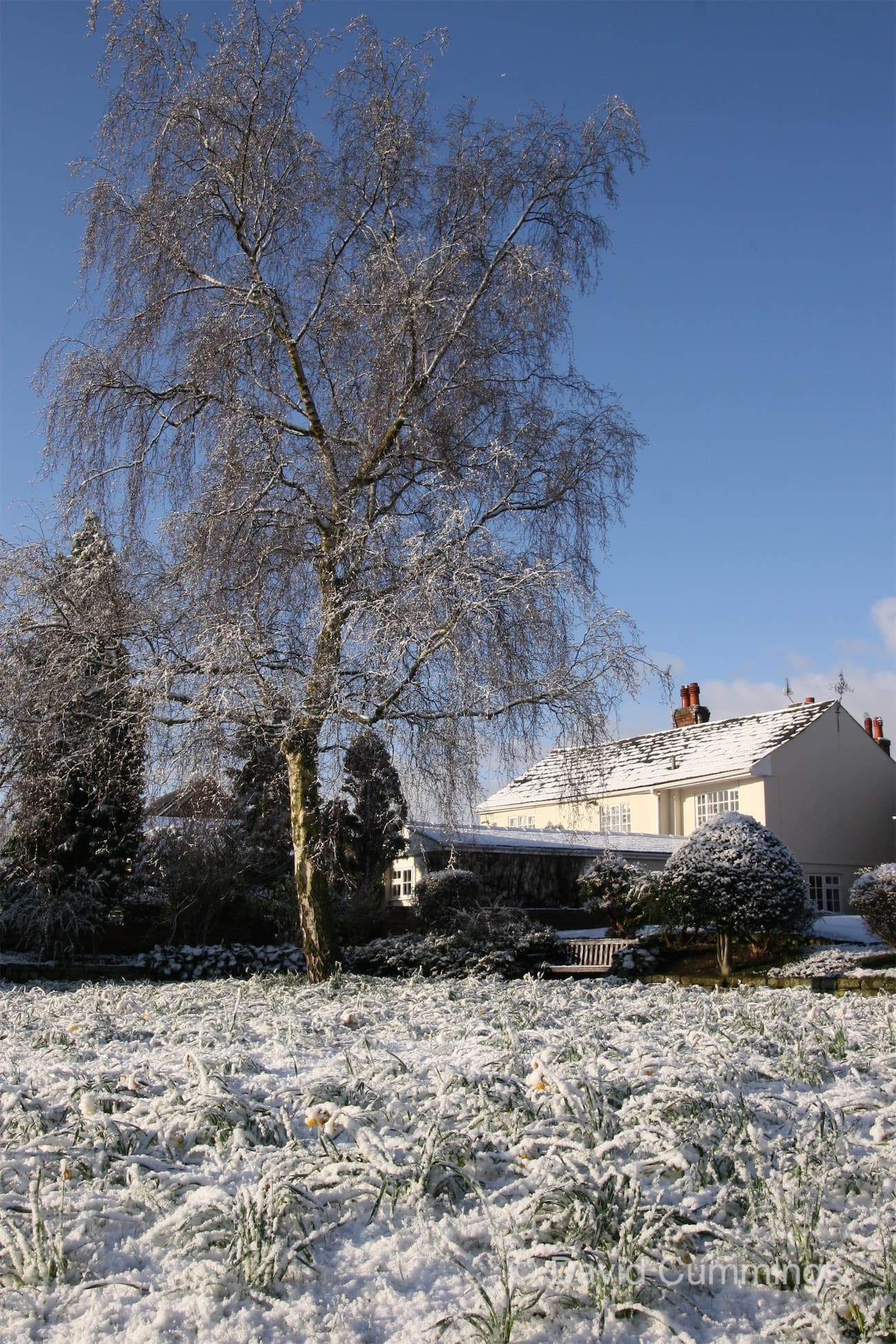 The Square, Christleton
