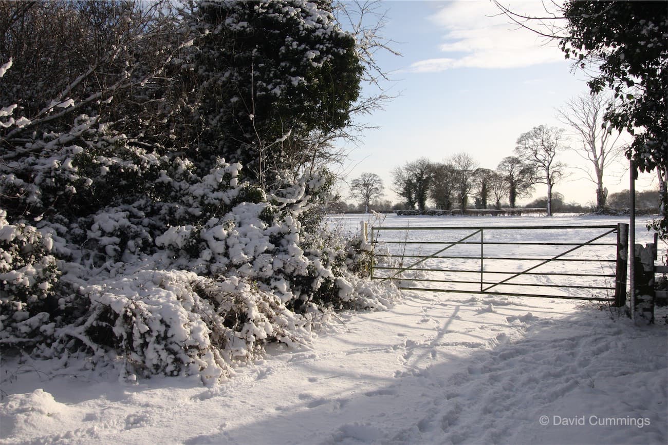Farmland near Christleton Playing Fields